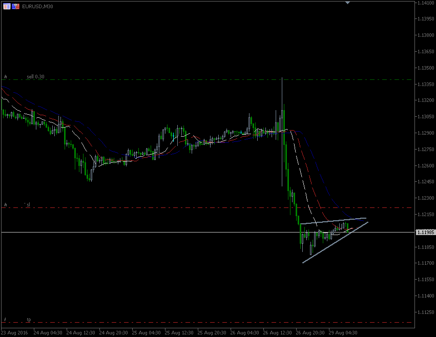 29.8.2016.EUR.m30.gif