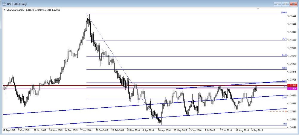 USDCAD_D_1.JPG