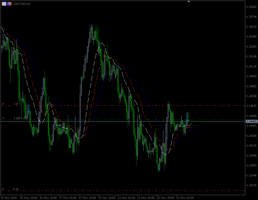 23.11.2016.CAD.gif