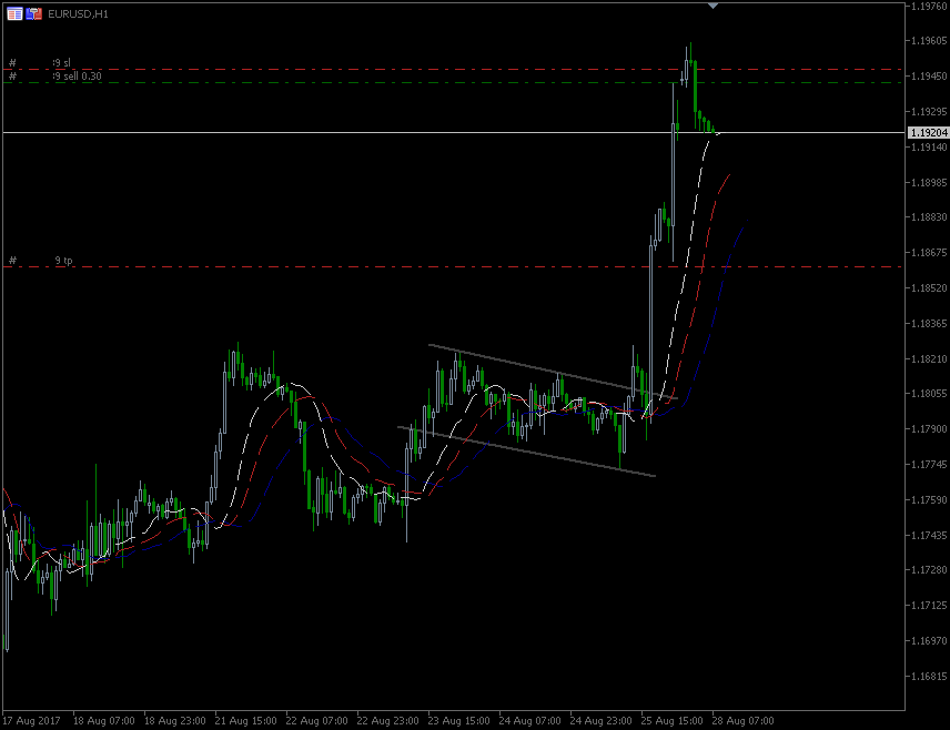 28.8_2017_EUR.gif.fb1886fde4a02f1e0801df291c0136f3.gif