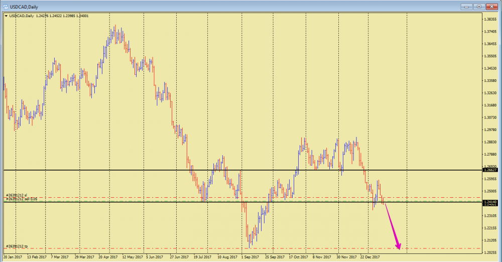 MT4 Market Real Server - USDCAD,Daily 2018-01-16 19.17.51.png