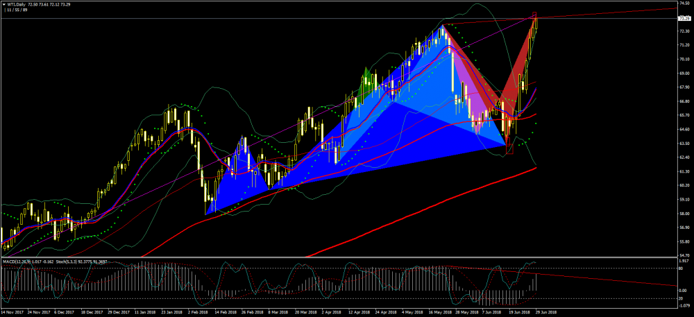 wti-d1-alpari-international-limited.png