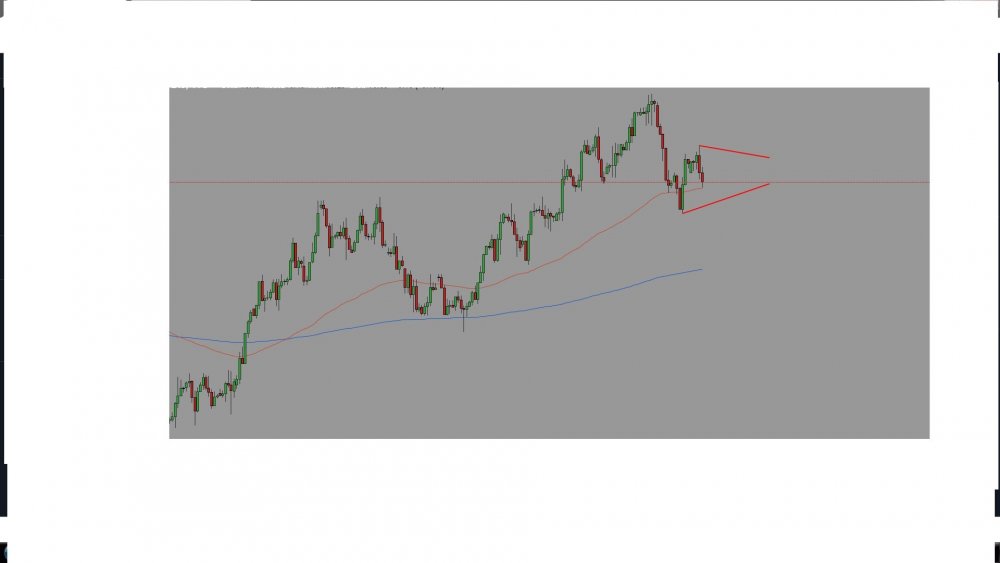 dxy.jpg