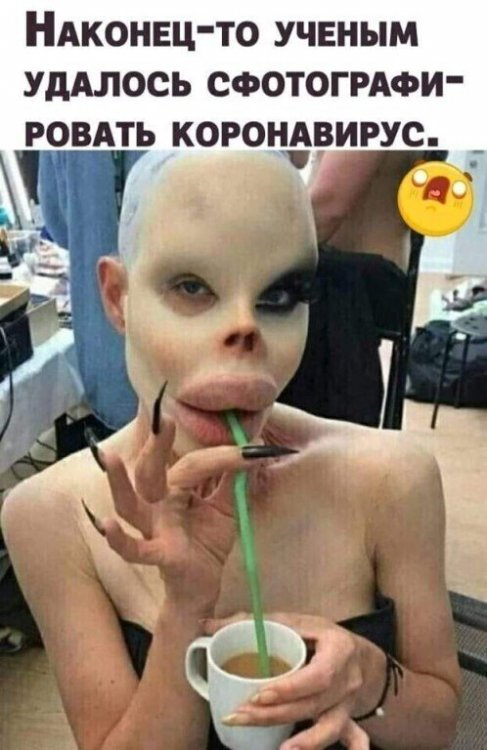 3333334445567.jpg