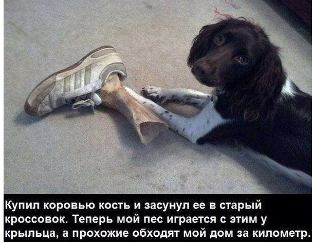 image.png.d9500c1d1ee15ba0ab88f266fce0b96f.png